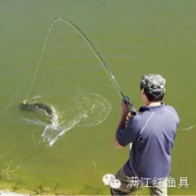 钓鱼人常用的7个遛鱼技巧