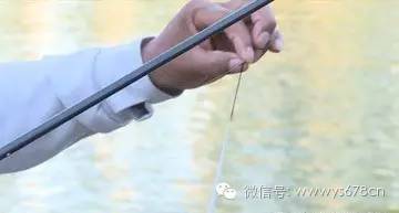 【钓鱼学堂】钓鲫鱼的浮漂线组选择及调钓技巧