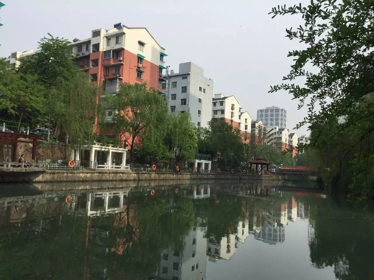 【钓点】杭州这条河位置好、水质佳，重要的是开放了免费垂钓