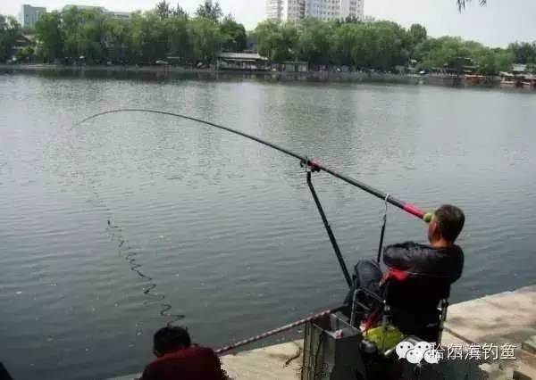 【钓鱼技巧】多种手竿使用方法
