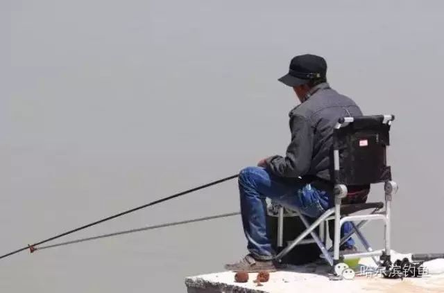 如何把握春天钓鱼的最佳时机？