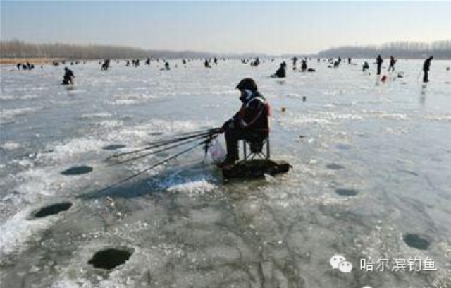【冬季钓鱼技巧】撒铒是个技术活儿！