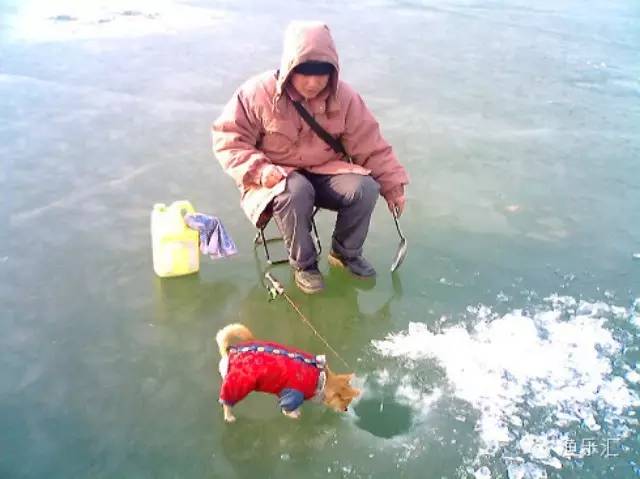 【钓鱼技巧】冬季用红虫钓鱼如何调漂？