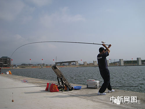 【钓鱼技巧】常用诱饵窝料的制作方法及投放技巧
