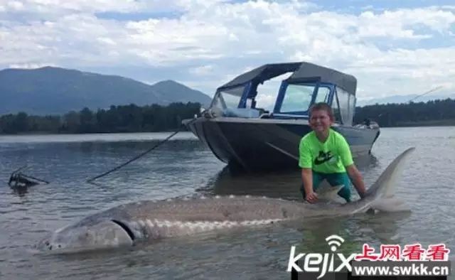 美国9岁男童抓到545斤神秘大鱼