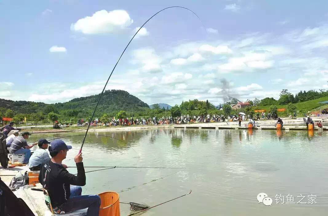 钓鱼人如何选择一款合适的鱼竿