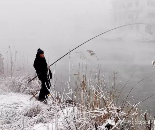 【钓鱼知识】冬季四大冰钓小常识！