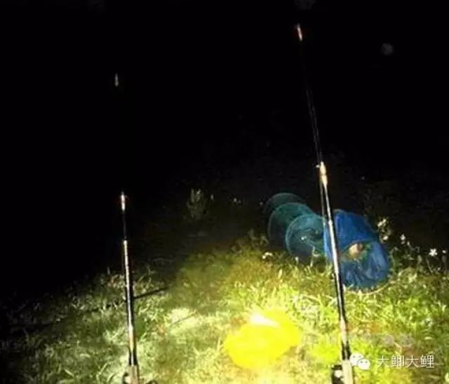 [钓鱼技巧]初学夜钓要掌握的一些基本垂钓知识
