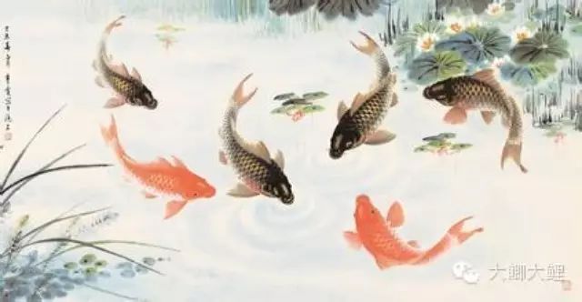 【黑坑 江湖】鱼塘钓鱼的九个小技巧