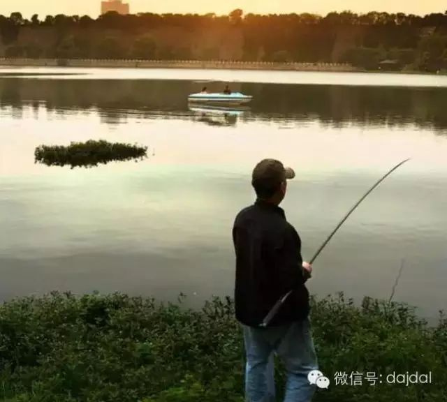 【钓鱼技巧】秋季钓鱼有四招，想钓大鲤要记牢！