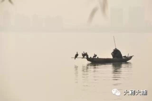 【台钓 技巧】台钓白条鱼的各种技巧和方法