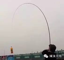 【视频】你想知道的鱼竿调性