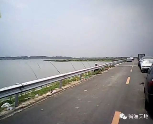 【视频】高速公路钓鱼，活腻了吧？