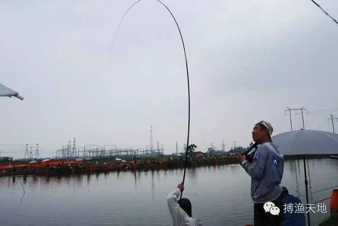 【钓具】你的鱼竿能钓多大鱼？