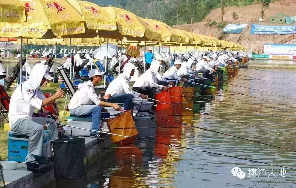 【视野】9000万中国钓鱼人！钓技能超国外吗？