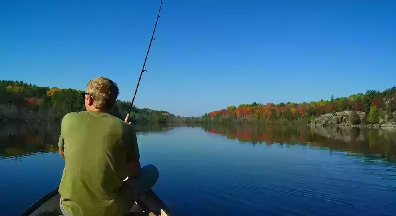涨姿势 | 满载渔获？教你秋季钓鱼如何找鱼！