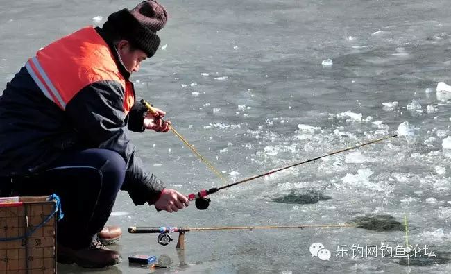 钓鱼技巧 || 冬季钓鱼技巧探讨