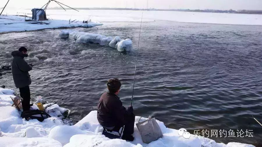 钓鱼技巧 || 冬天钓鱼怎样才能提高渔获？