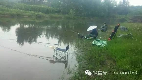 下雨天钓鱼技巧大全，拿走不谢！