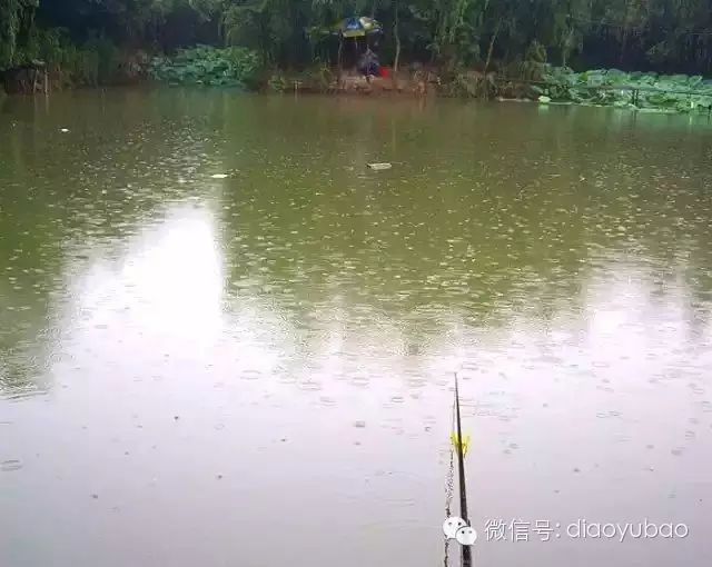 各种雨对钓鱼的影响