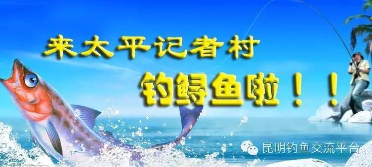 记者村10月24钓大鲟鱼（热塘）