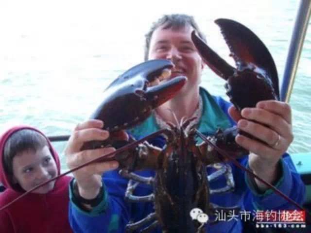 【海钓视频】外国渔民捕龙虾