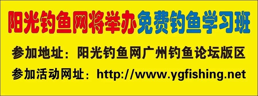 阳光钓鱼网将举办免费钓鱼学习班