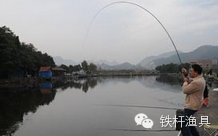 夏季垂钓鲢鱼的钓鱼技巧——做窝、提竿