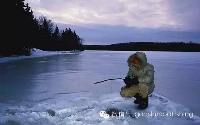 冬季大棚钓鱼技巧