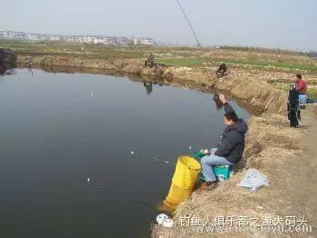 在陈年老塘、肥水塘钓鱼的技巧详解