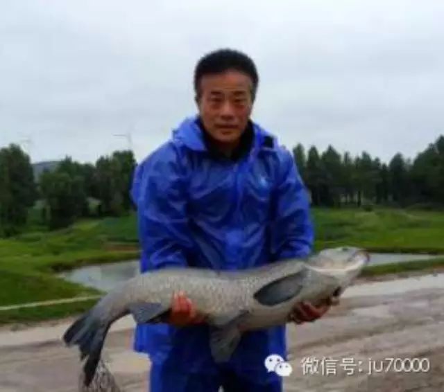 【台钓精华】2014钓鱼上半年总结：27斤青鱼