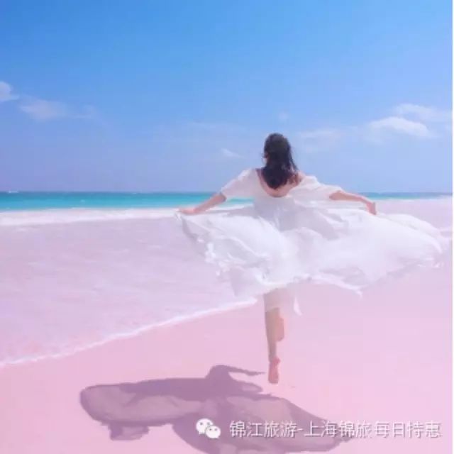 世界上唯一的粉色沙滩，免签蜜月海岛巴哈马约翰尼·德普也在这里举办婚礼你造吗？