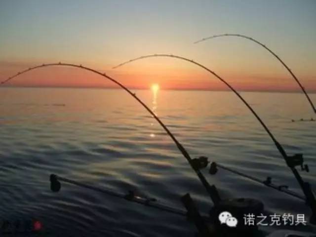 《诺诺.授钓》海岸边钓鲻鱼梭鱼的四种垂钓技巧