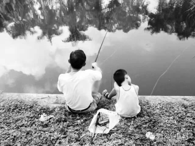 【征文推荐】头一回跟我爹去钓鱼
