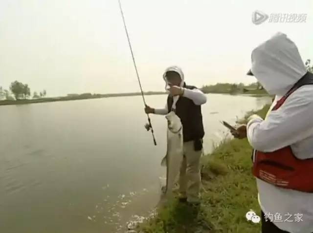 【视频】“钓王”教你玩路亚，钓大鱤鱼！！
