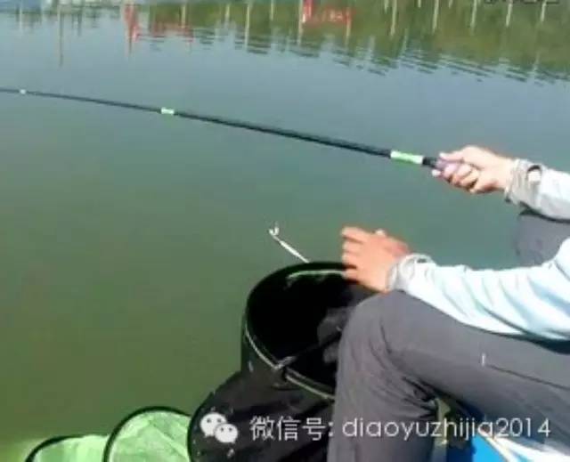 【视频】标准竞技池 练习垂钓大鲫鱼视频