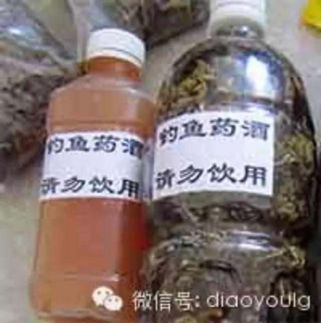 钓鱼小药：自制泡药酒饵料的几种误区