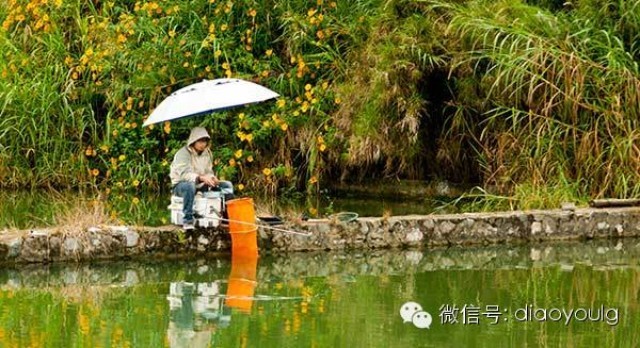 台钓27条术语，你知道多少？