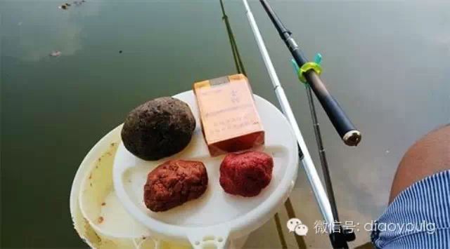 自制钓鱼饵料的十大禁忌