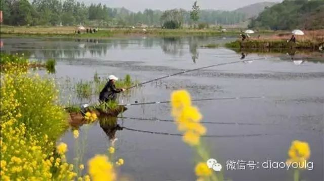 送给春季钓鱼爱好者的六点建议