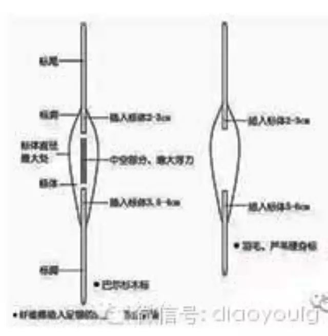 各种钓鱼浮漂的利与弊！