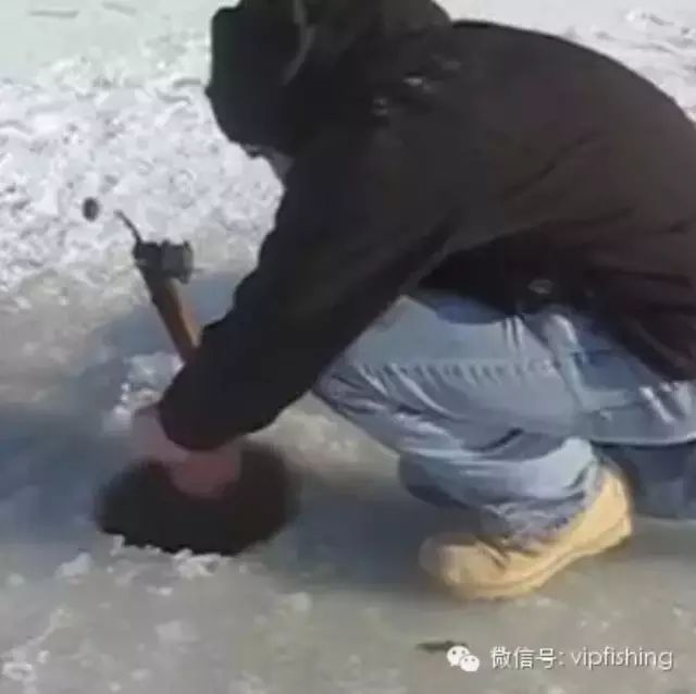 男子对冰上凿洞钓鱼没抱期望 但是剧情发展让人震惊