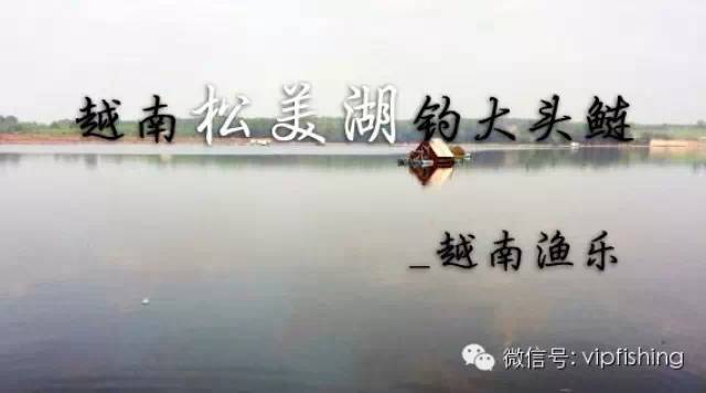 【渔获战报】越南松美湖钓大头鲢 景儿好渔获好