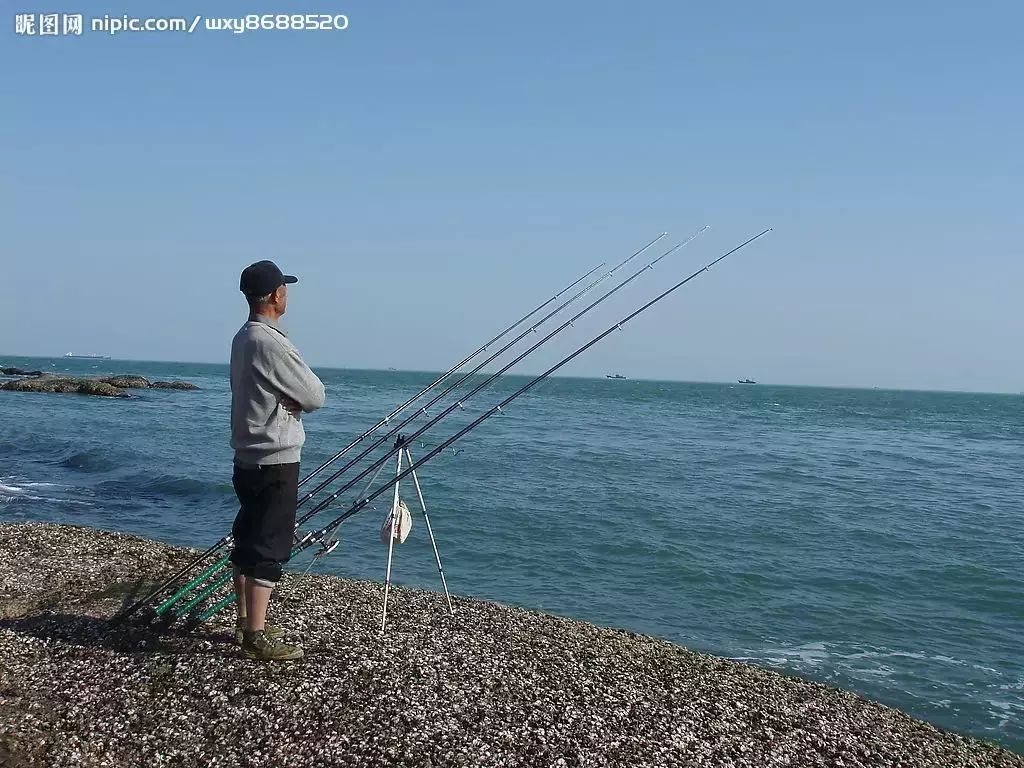 【钓鱼技巧】硬竿为何容易跑鱼，软竿的优势又在哪？