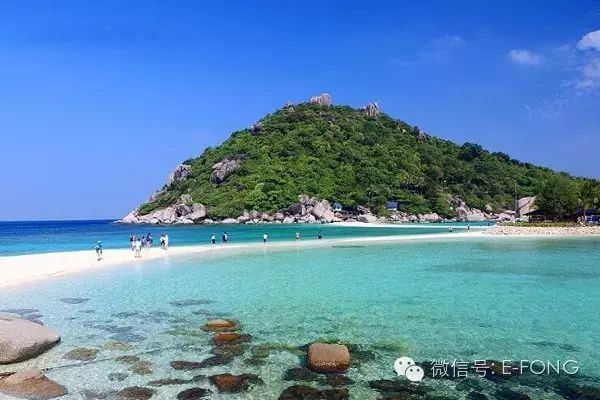 【暑假自由行】泰国的潜水圣地—苏梅岛