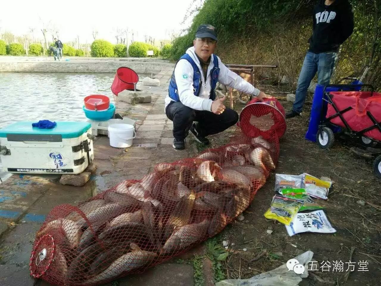 说说黑坑钓鲤鱼不同水温、鱼情饵料和钓法的变化！