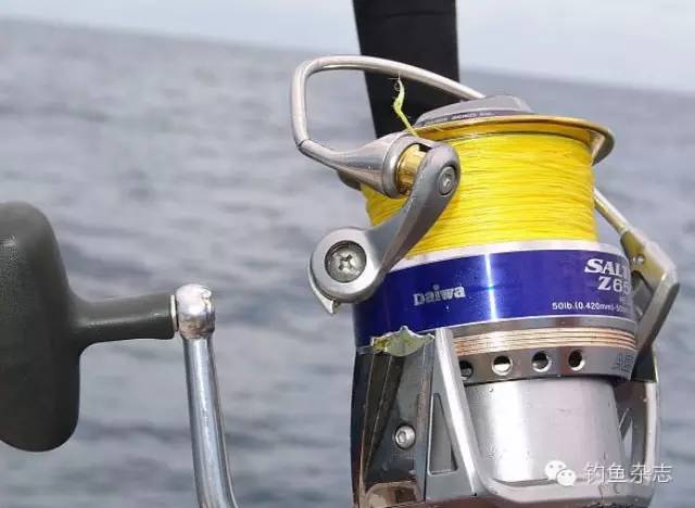 钓具测评：达亿瓦01、10两代强力海钓纺车轮SALTIGA对比（节选）