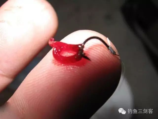 秋冬季节使用红虫钓鱼要注意