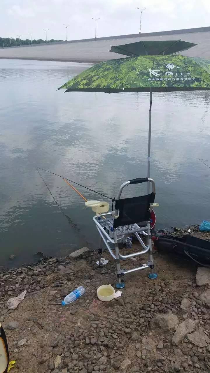 夏季鱼情不好，助你钓鱼