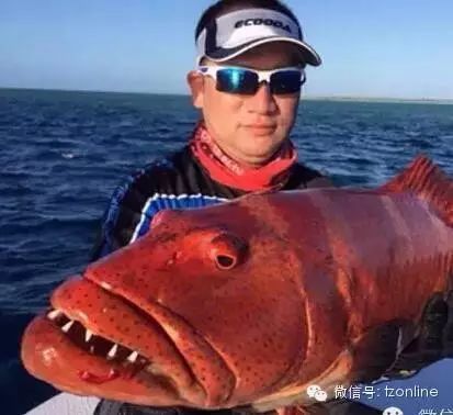 椒江海钓达人曾钓到400多斤大鲨鱼 他说：要钓遍所有的名钓场